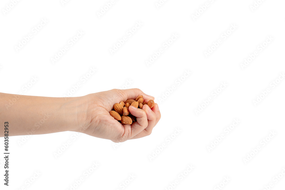 hand holding Almonds seed isolated on transparent background hand holding Almonds seed isolated on transparent background