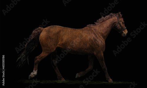 Vector illustration of a young beautiful brown horse with a bridle on his head galloping through the grass on a black background. The concept of the animal  freedom and energy. Isolated picture EPS 10