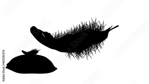 goose down silhouette