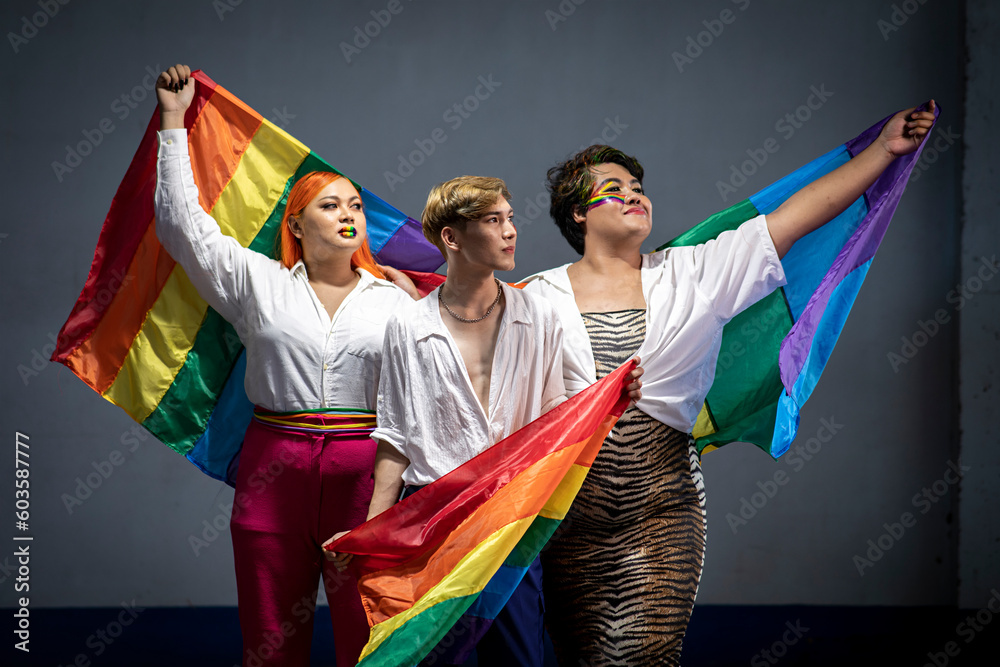 Portrait of a group Asian young gay man happy while posing with gay pride rainbow flag at studio over gray background. People lifestyle fashion lgbtq concept - obrazy, fototapety, plakaty 