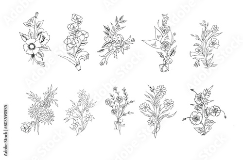 Vector watercolor floral collection 