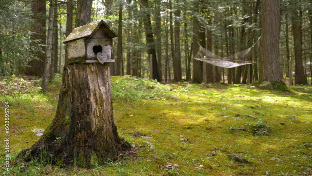 Wooden birdhouse rests on top of log stump in middle of a green sunny moss covered forest. Fairytale fantasy dream like outdoors with hammock hanging middle trees in background. 4K SLOW MOTION WIDE Wooden birdhouse rests on top of log stump in middle of a green sunny moss covered forest. Fairytale fantasy dream like outdoors with hammock hanging middle trees in background. 4K SLOW MOTION WIDE