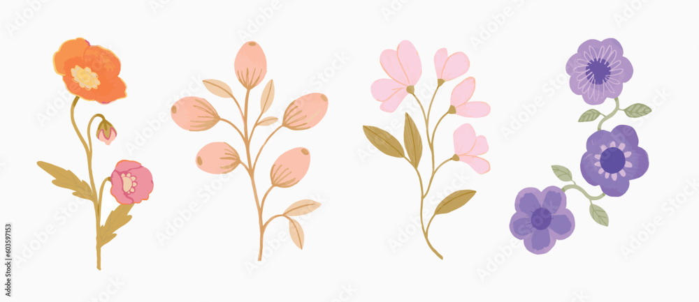 Sweet Floral Elements Daisy Bud Blossom Pink Peach Leaves Flowers Set isolated White