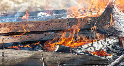 Burning firewood in a campfire close-up.
