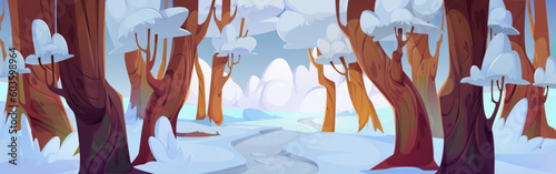 Winter snow forest vector landscape. Path near white tree in cartoon park scene. Sunny day in valley horizon. Cold season and footpath on road between frozen woods, blue sky with cloud