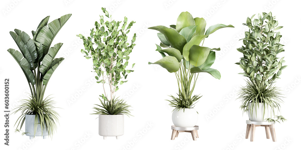 Isometric plant 3d rendering	
