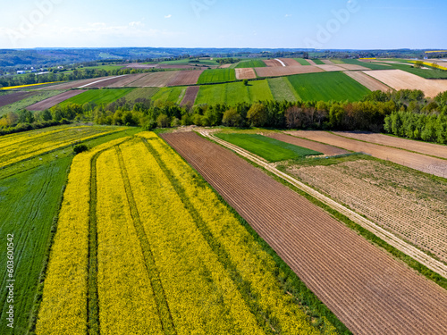 Obraz na płótnie Aerial view landscape. View of rapeseed fields in the countryside, blue sky, agritourism Poland. w salonie