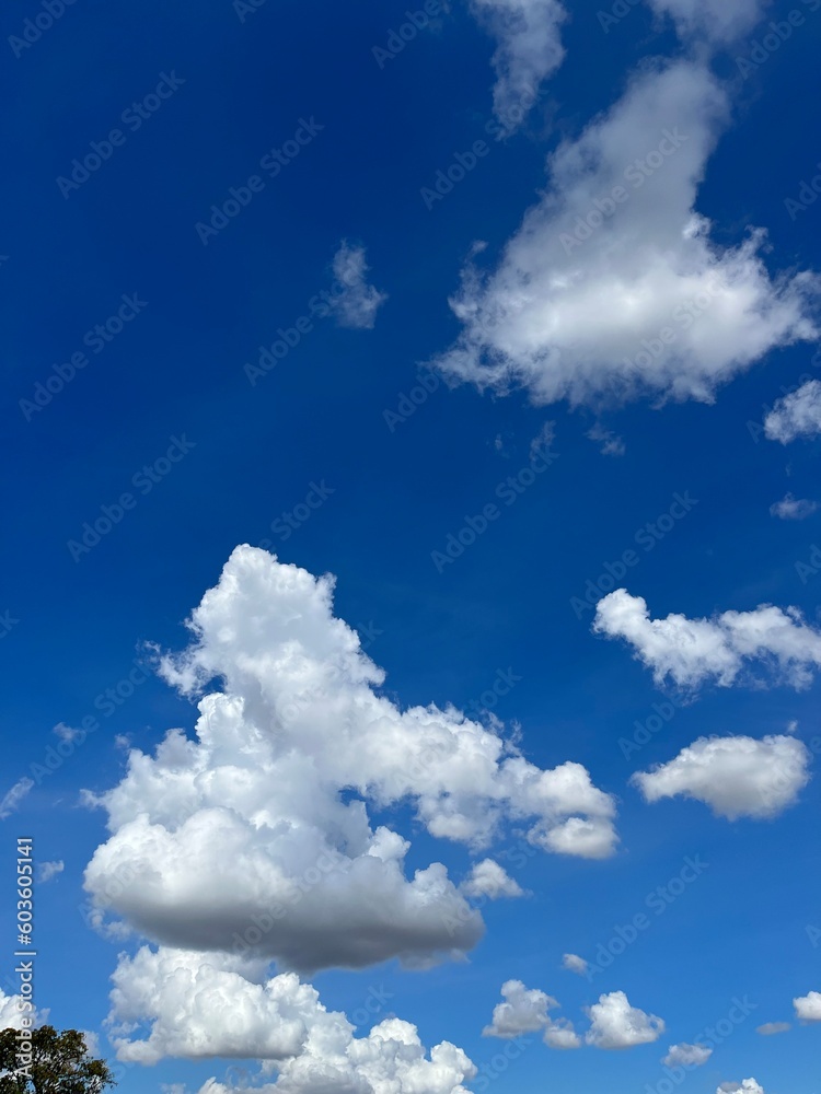 Cloudy Cloudy