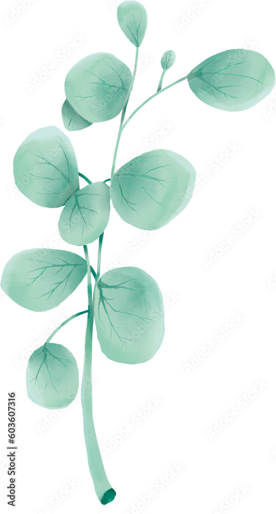Obraz premium plant, leaf and flowers illustration 