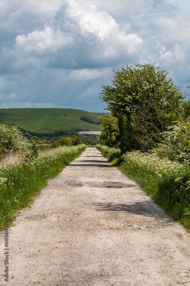 Looking along a dirt lane in Sussex on a sunny May day