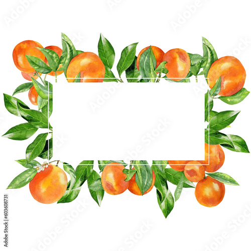 Handpainted watercolor frame with oranges