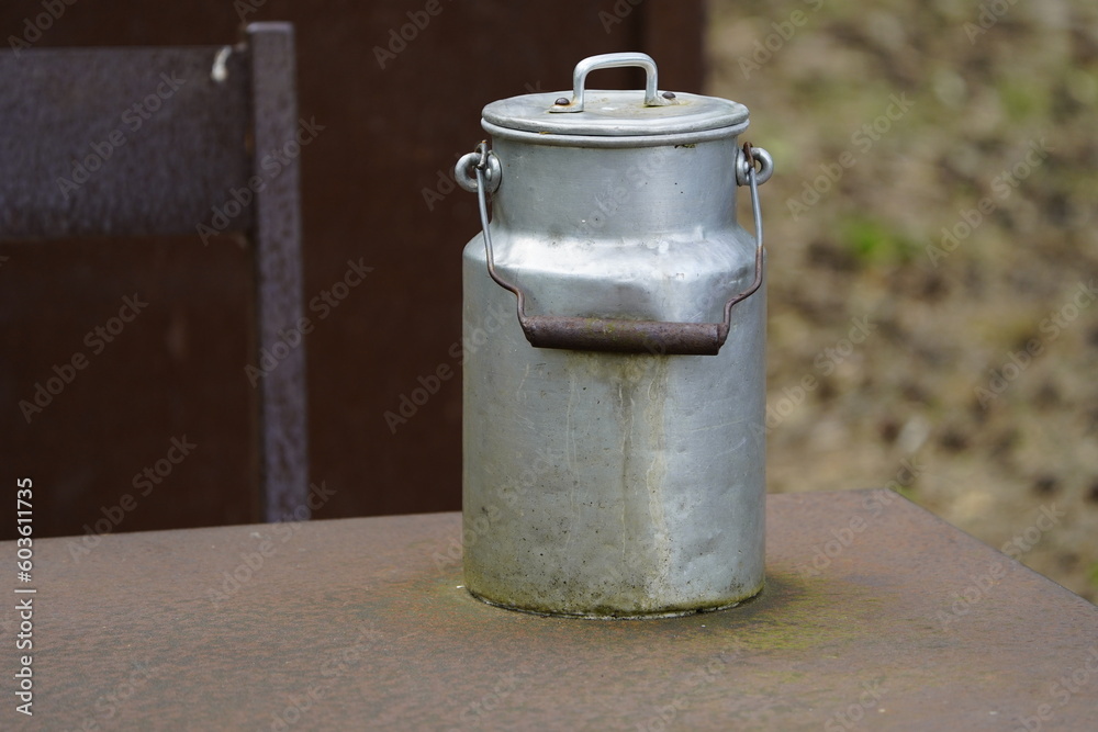 Old aluminum milk can filled with milk, as it used to be collected from the farms by the dairies for processing. District of Hanover, Germany. Old aluminum milk can filled with milk, as it used to be collected from the farms by the dairies for processing. District of Hanover, Germany.