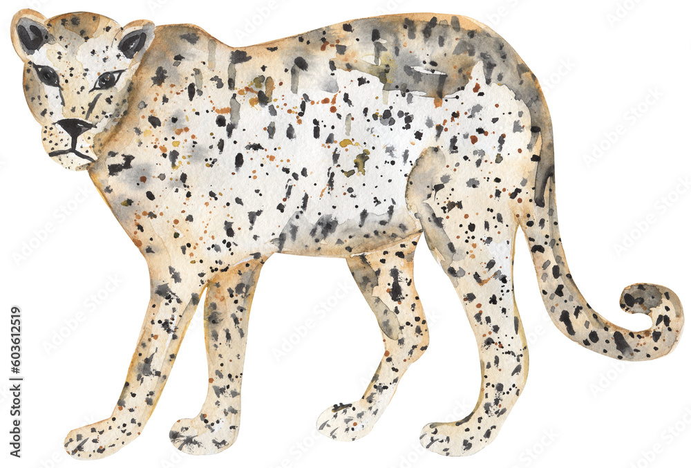 Hand painted watercolor exotic wild cat Leopard clipart, Illustration of a realistic animal, perfect for print, cards, posters and parties. Hand painted watercolor exotic wild cat Leopard clipart, Illustration of a realistic animal, perfect for print, cards, posters and parties.