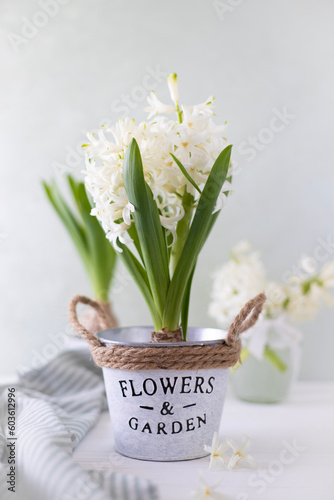 Vase with white hyacinth on a light background