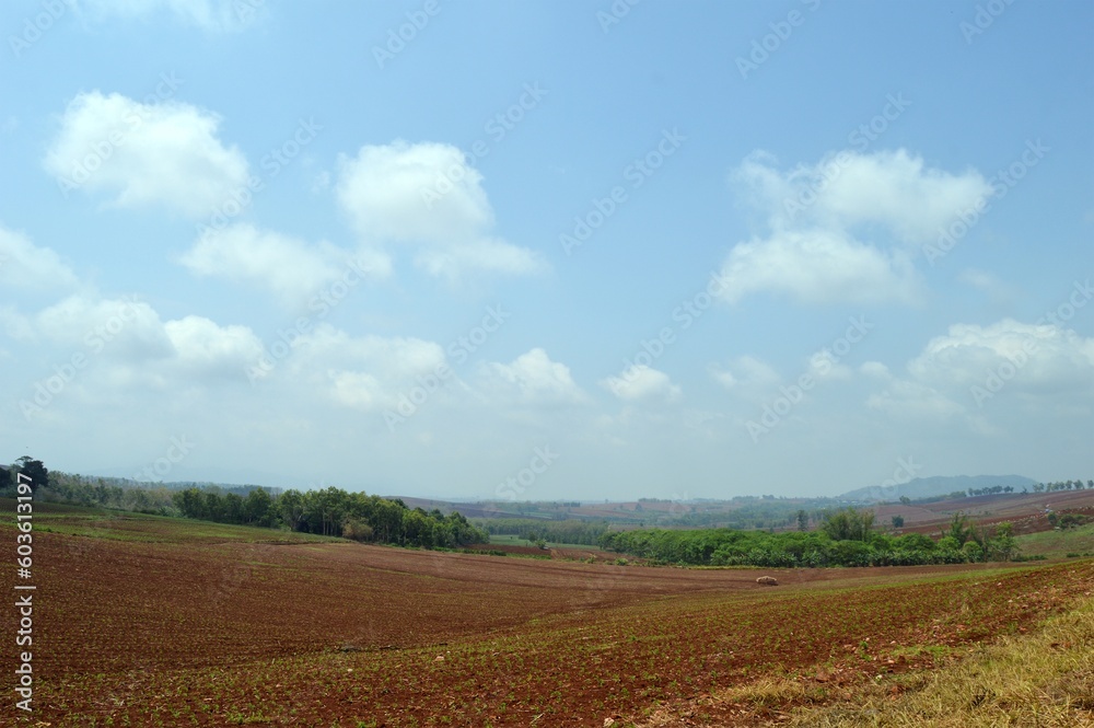 landscape of agriculture and blue sky