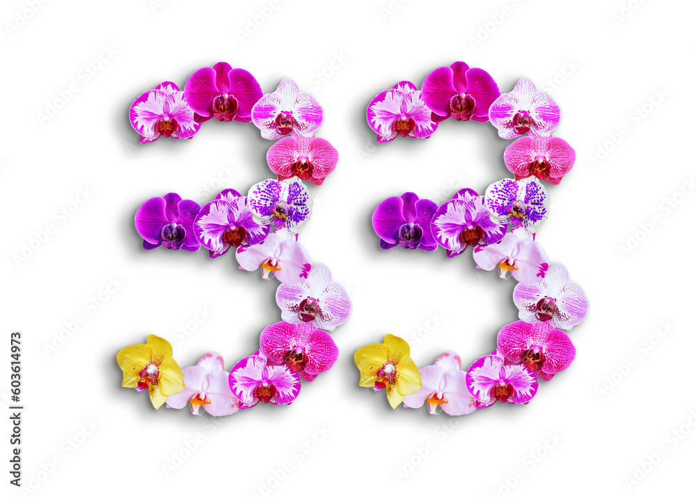The shape of the number 33 is made of various kinds of orchid flowers. suitable for birthday, anniversary and memorial day templates