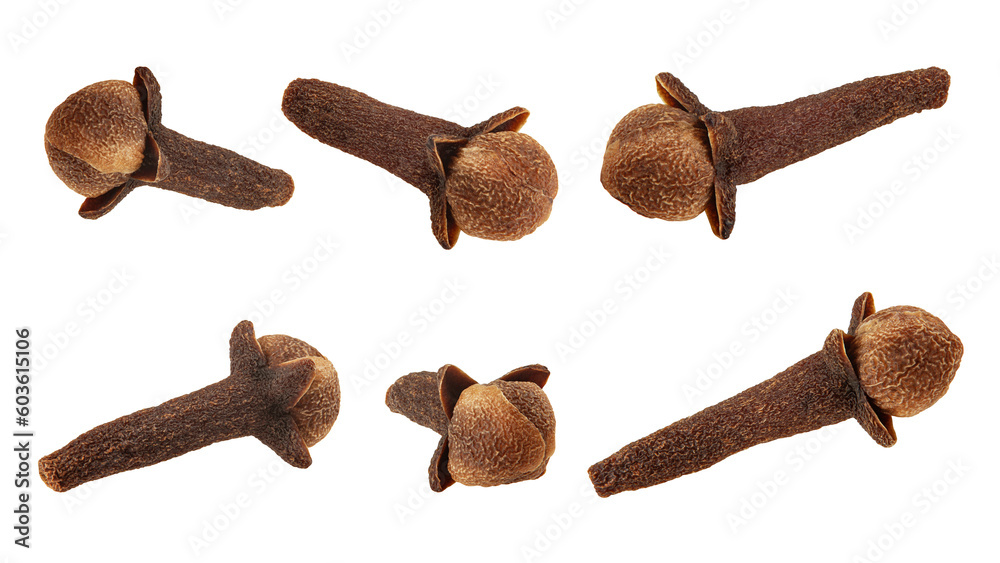 Clove spice isolated, full depth of field Clove spice isolated, full depth of field