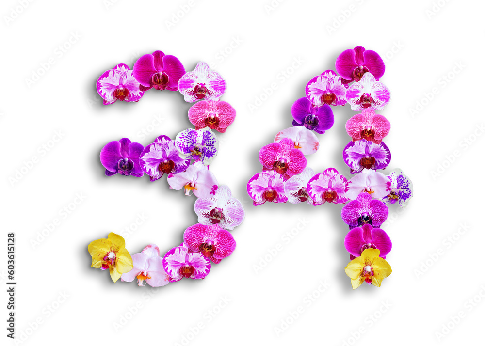The shape of the number 34 is made of various kinds of orchid flowers. suitable for birthday, anniversary and memorial day templates The shape of the number 34 is made of various kinds of orchid flowers. suitable for birthday, anniversary and memorial day templates