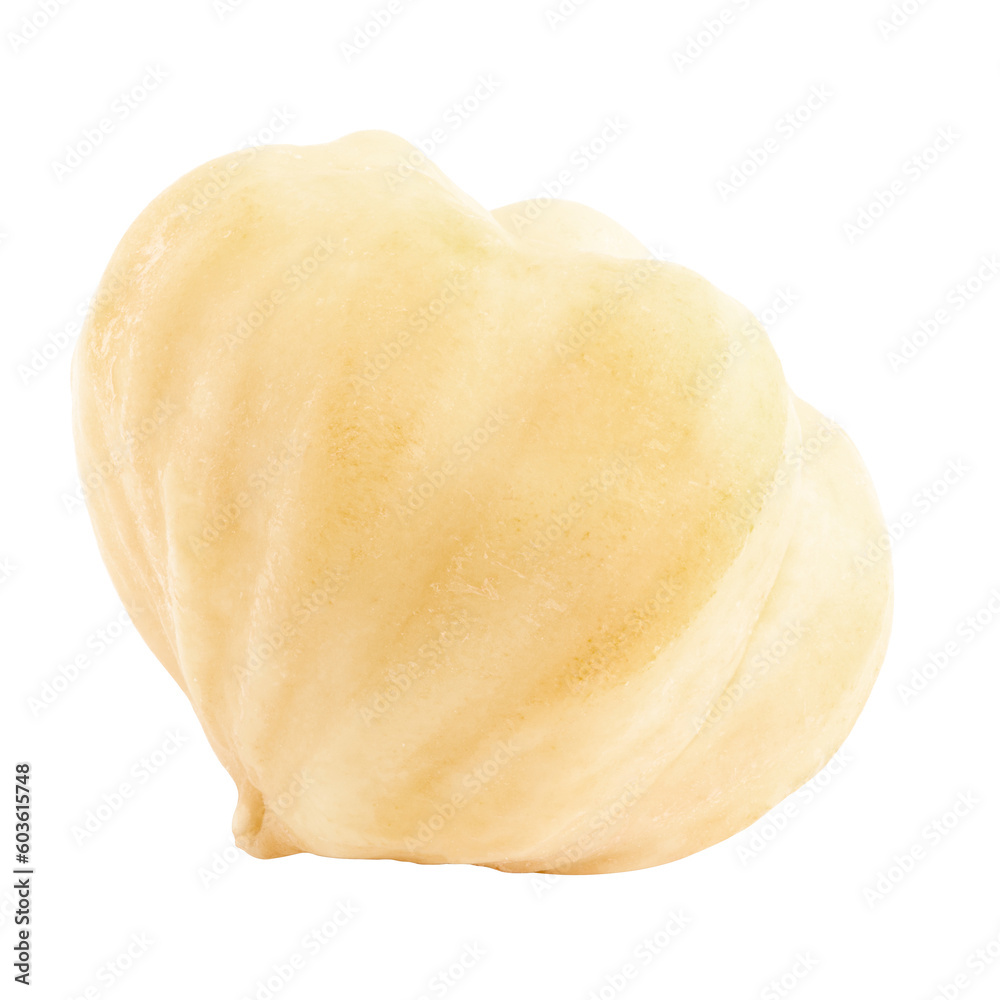 hazelnut isolated on white background, full depth of field hazelnut isolated on white background, full depth of field