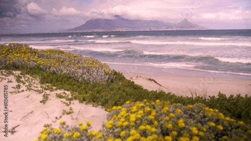 A static wide shot reveal of the beach. On the fourground there's yellow, light purple and green flowers slowly blown by the fresh breeze from the beach. photo