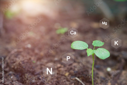 NPK  to the three essential macronutrients required by plants:nitrogen (N), phosphorus (P),and potassium (K).These nutrients play crucial roles in the growth,development,and overall health of plants. 