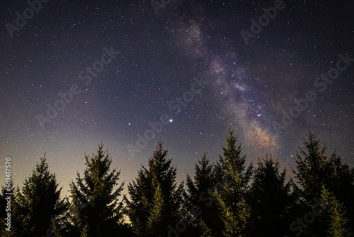 Milky Way and Pine Trees