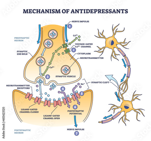 Mechanism of antidepressants for brain cells neurotransmitters boost outline diagram. Labeled educational anatomical scheme with nerve impulse and hormones to fight depression vector illustration.