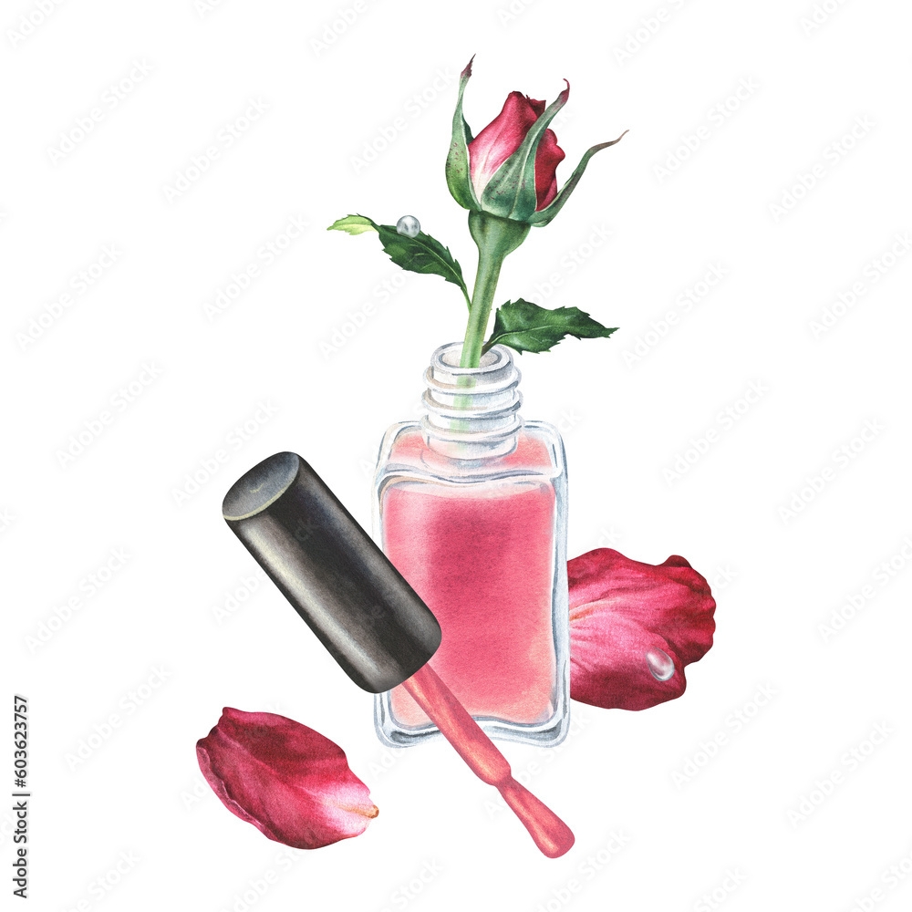 Watercolor of pink nail polish with bud and rose petals. Hand drawn