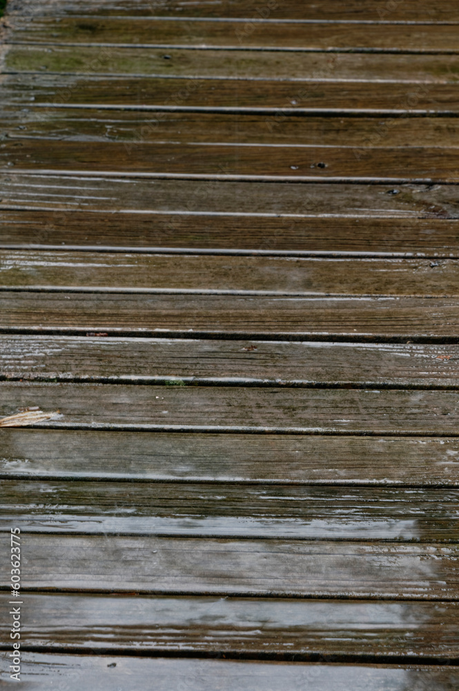 Fototapeta premium A very wet, slippery wooden deck or veranda