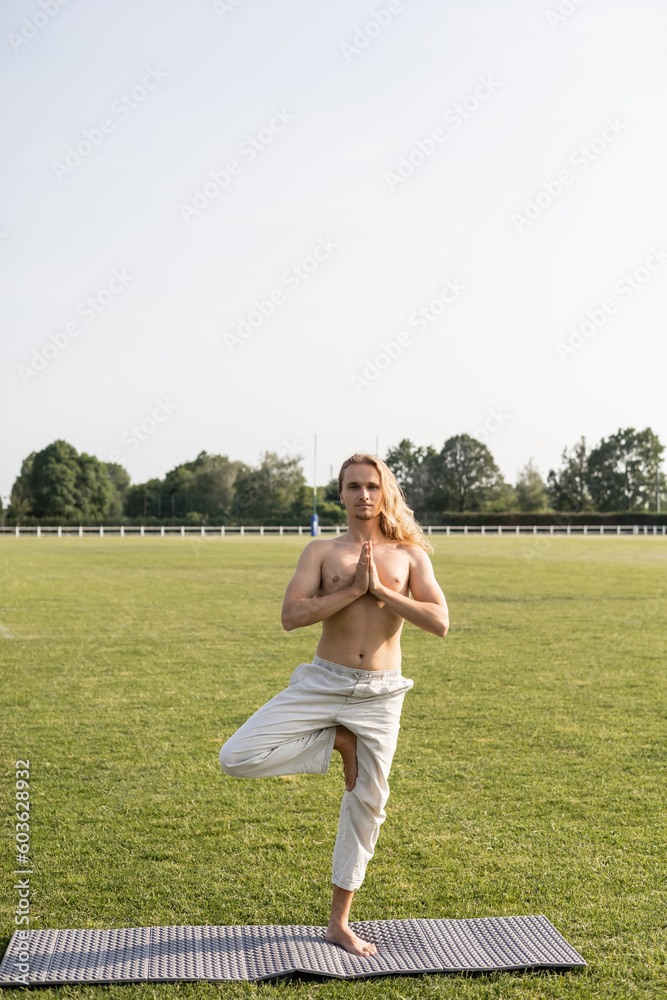 full length of shirtless man in linen pants standing in tree pose with anjali mudra gesture while practicing yoga in green field full length of shirtless man in linen pants standing in tree pose with anjali mudra gesture while practicing yoga in green field