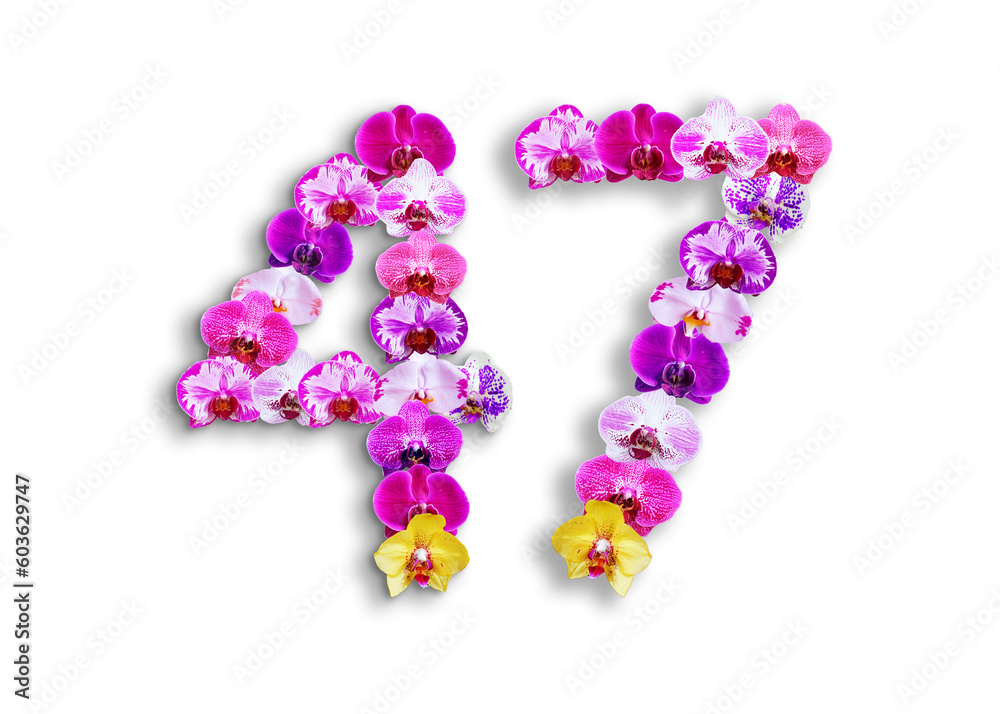 The shape of the number 47 is made of various kinds of orchid flowers. suitable for birthday, anniversary and memorial day templates