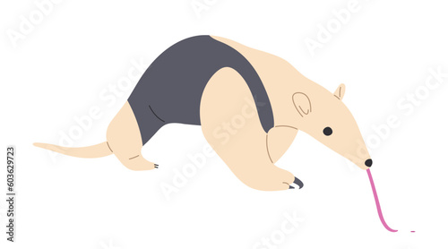 Tamandua Single cute 2, vector illustration