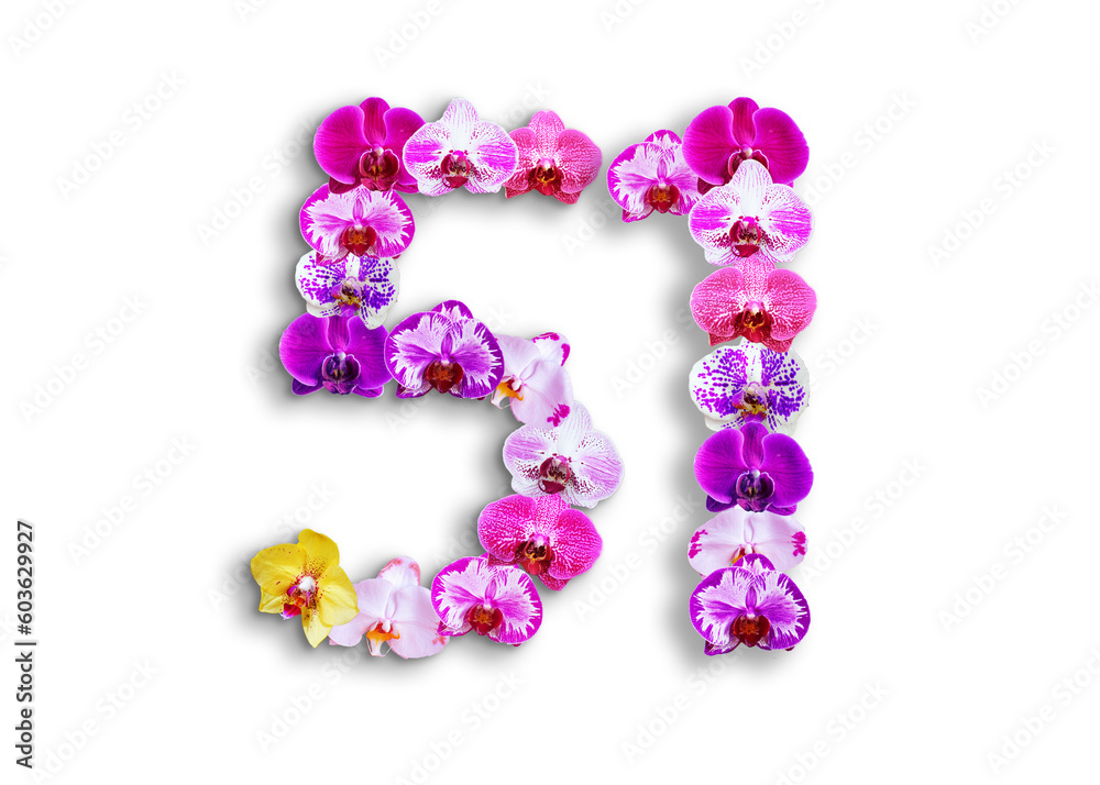 The shape of the number 51 is made of various kinds of orchid flowers. suitable for birthday, anniversary and memorial day templates The shape of the number 51 is made of various kinds of orchid flowers. suitable for birthday, anniversary and memorial day templates