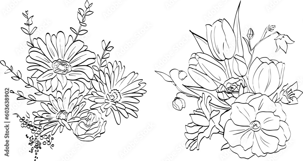 Flower Line Art Illustrations