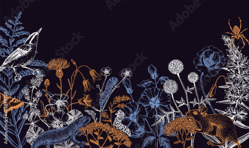 Summer design  in sketched style. Botanical drawings of wildflowers, herbs, meadows, berries, animals and birds. Vintage wildlife hand-drawn illustrations. Field plants background in color
