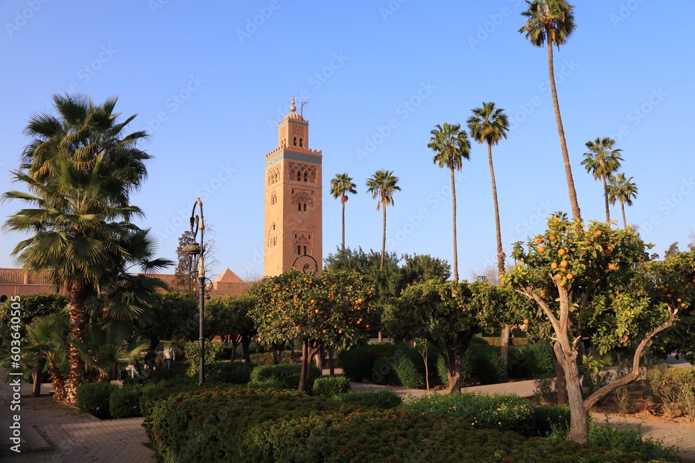 Marrakech Koutoubia Mosque and orange trees