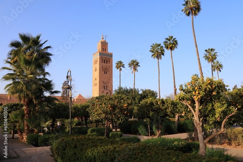 Marrakech Koutoubia Mosque and orange trees