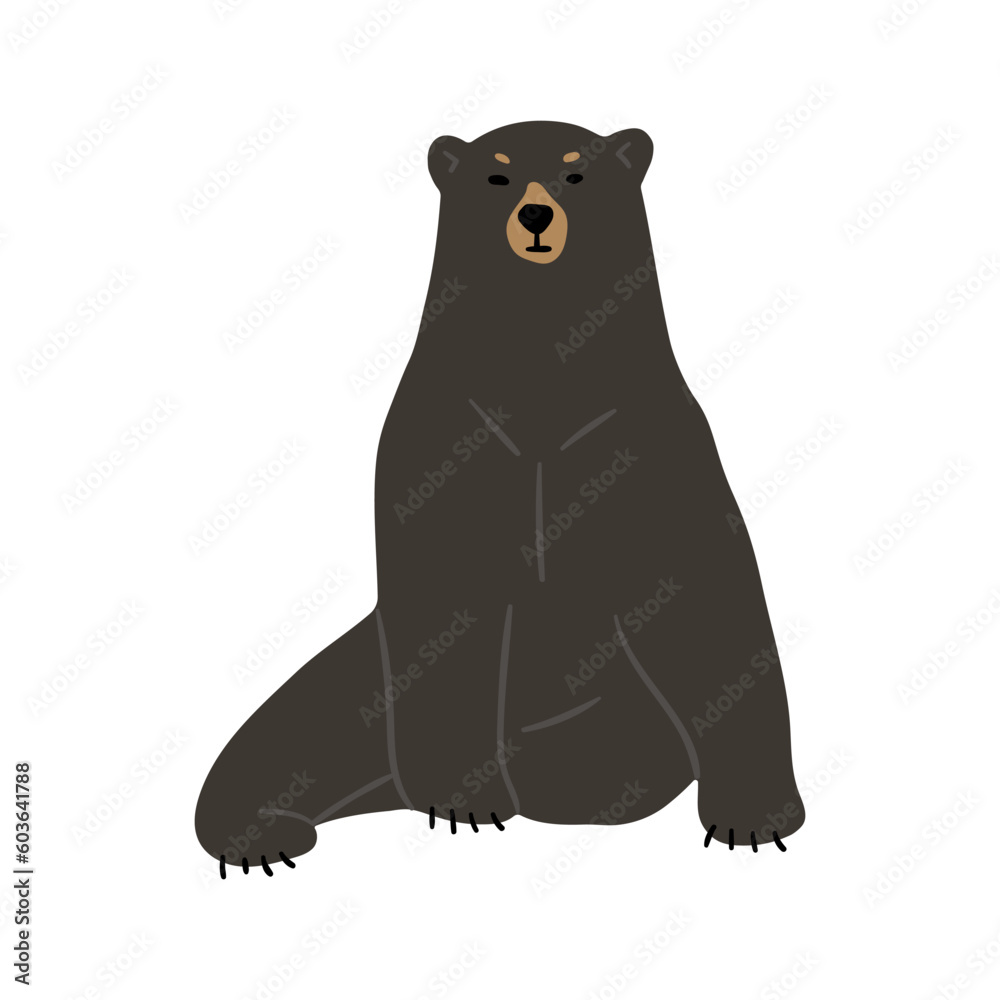 American Black Bear Single cute 12, vector illustration American Black Bear Single cute 12, vector illustration