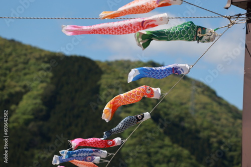 Fotografiet koinobori flown in the sky during children's day in japan