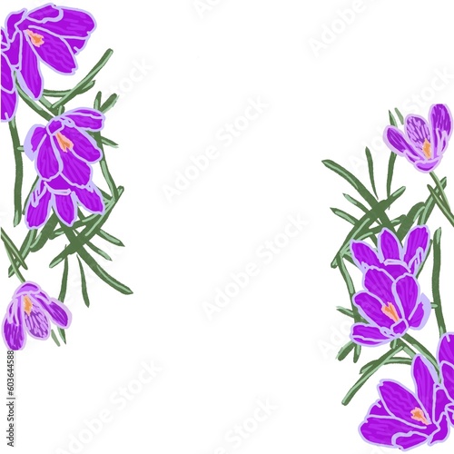 bouquet of flowers crocuses lilac purple