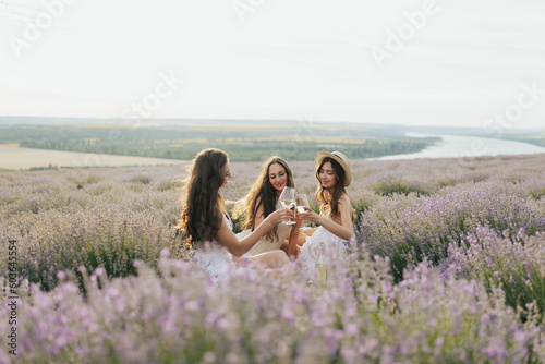Obraz na płótnie Young and happy woman who enjoys amazing scenery at picnic. They clinking glasses with wine. w salonie