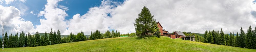 grass and sky