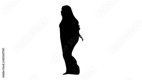 beautiful niqab silhouette
