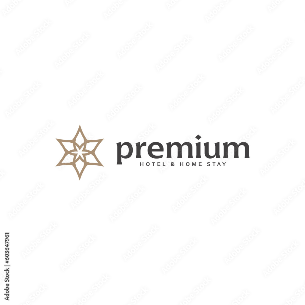 abstract star logo design template. premium hotel, home stay and restaurant iconic logo business vector design concept with luxury, gold and elegant styles isolated 