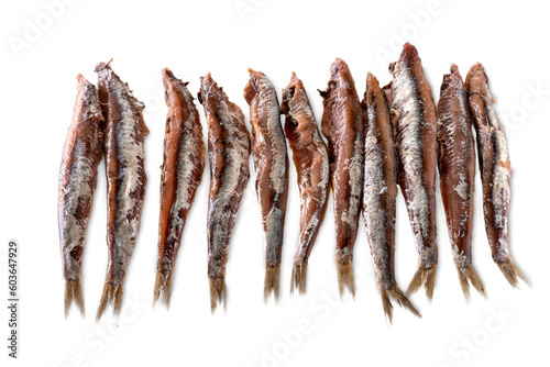 Salted anchovies isolated