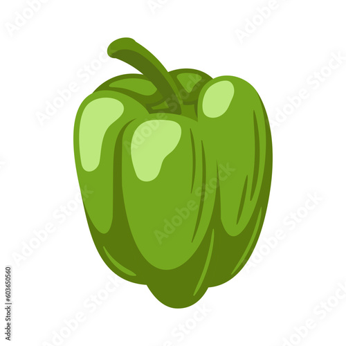 Sweet green bell pepper isolated on white background. Bell pepper in Cartoon style. Vector illustration