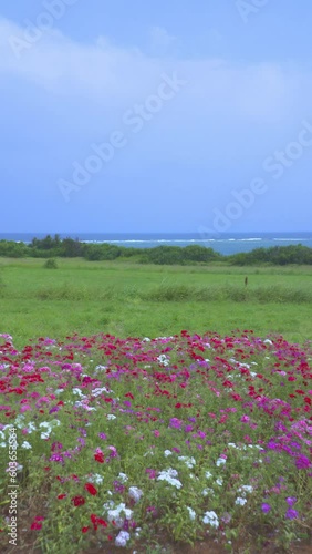 沖縄　宮古島の風景