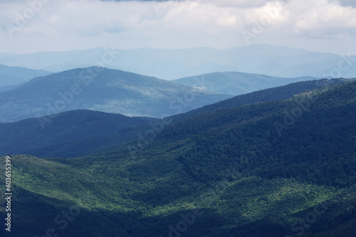 nature scenery with mountains and valleys. landscape background with forested rolling hills in summer