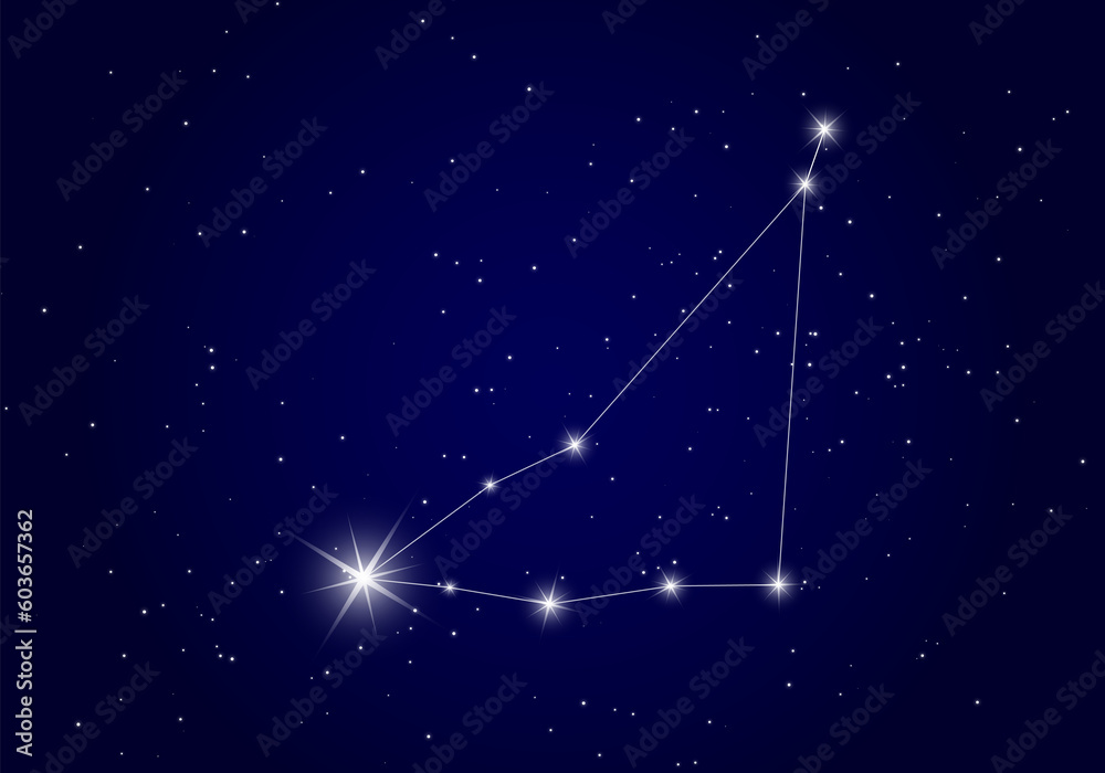 custom made wallpaper toronto digitalCapricorn constellation background 