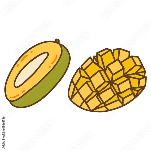 Mango cut in half. Tasty juicy healthy fruit. Frugarianism, raw eating. Colorful vector isolated illustration hand drawn with outline doodle photo